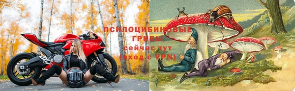круглые Алзамай