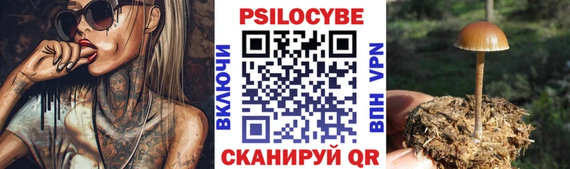 Псилоцибиновые грибы мицелий  наркотики  Горбатов 